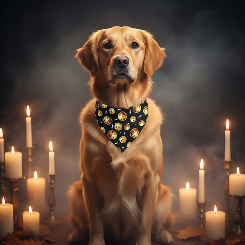 Bandana fantômes & crânes Halloween — Chien | PitchPatte